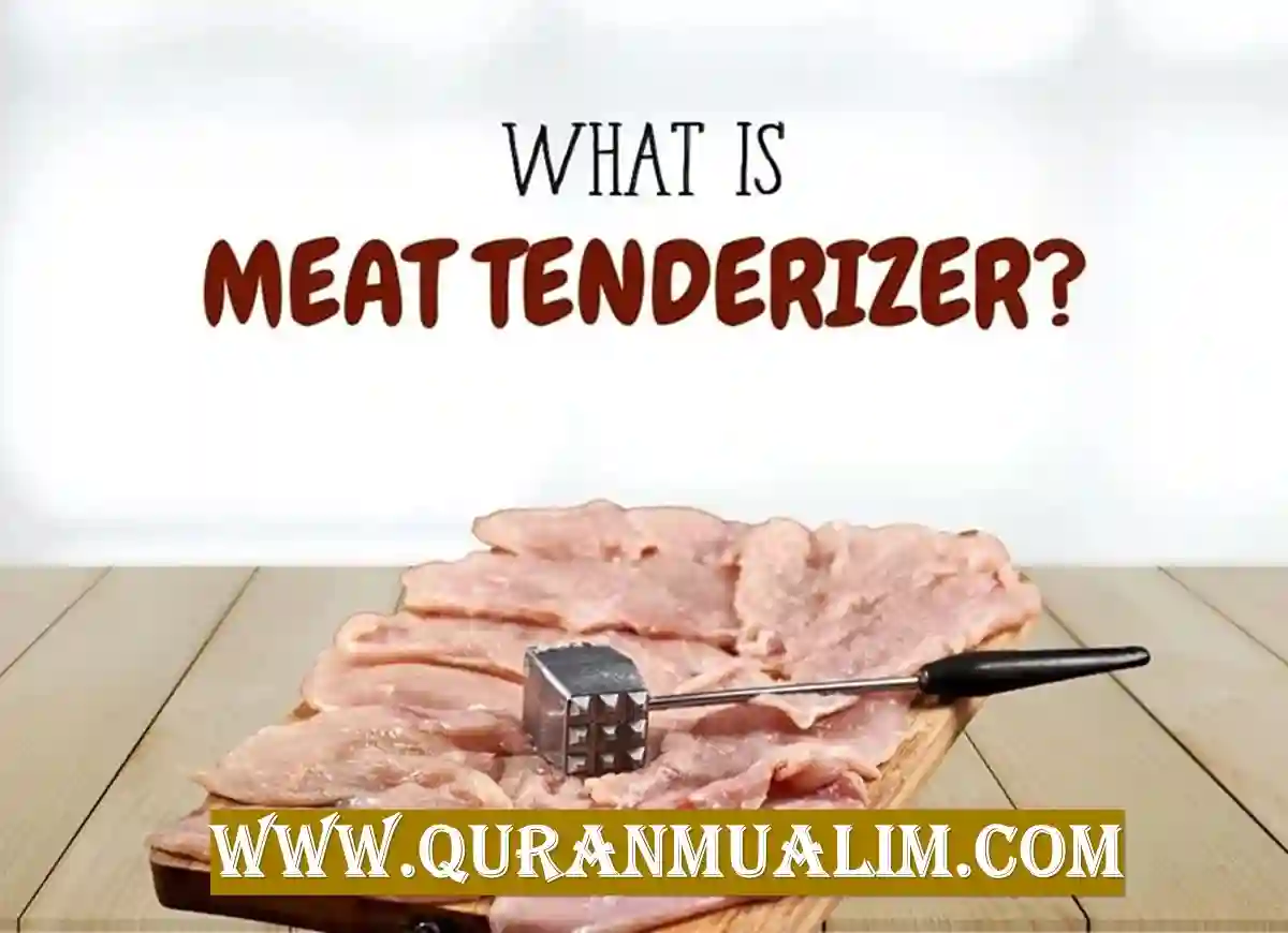 what is meat tenderizer powder, what is in meat tenderizer powder, what meat tenderizer powder, what is meat tenderizer powder used for, what is in meat tenderizer powder, how to use meat tenderizer powder, how to use powder meat tenderizer