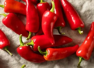 where to buy thai chili peppers, thai chili peppers where to buy,where to buy thai chili peppers near me, thai chili peppers where to buy, where to buy fresh thai chili peppers near me, thai chili pepper where to buy,where to buy thai chili peppers near me