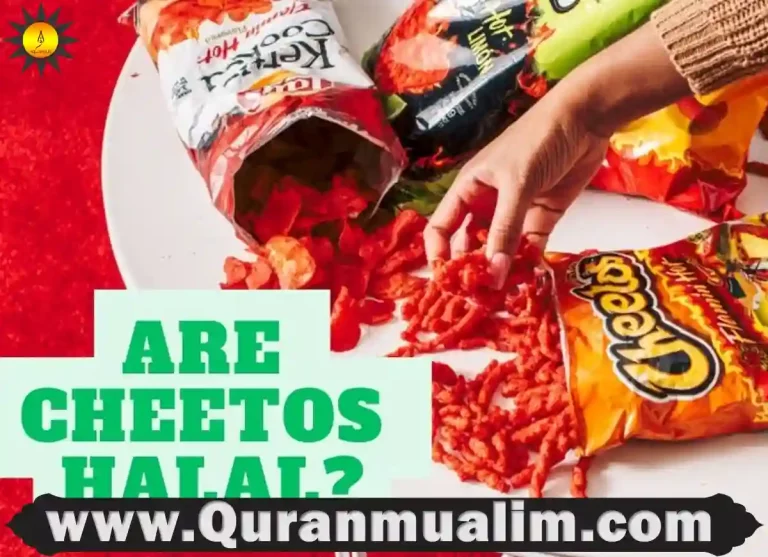 are cheetos halal,are hot cheetos halal,are cheetos puffs halal,are flamin hot cheetos halal, are cheetos halal in usa, are baked cheetos halal, are baked hot cheetos halal ,are crunchy cheetos halal