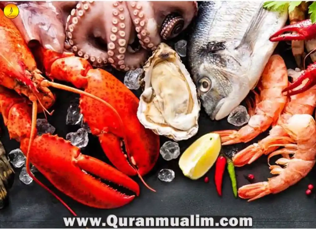 are clams halal, muslim food restrictions, shrimp halal,shrimp halal, halal fish, halal fish, what muslims cant eat, octopus is halal ,octopus is halal, is shrimp considered meat