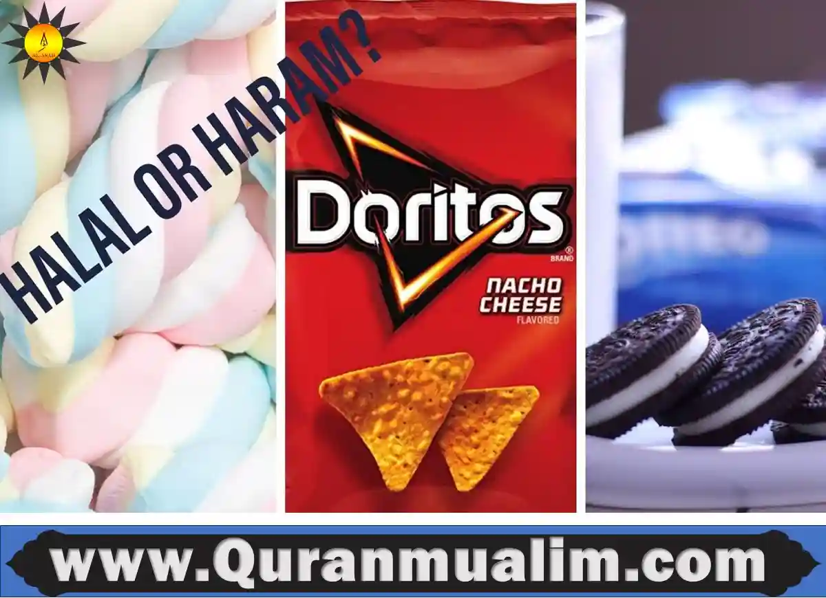 are doritos halal, are cool ranch doritos halal, are doritos cool ranch halal, what doritos are halal,which doritos are halal ,do doritos have pork,does doritos have pork, are doritos cool ranch halal