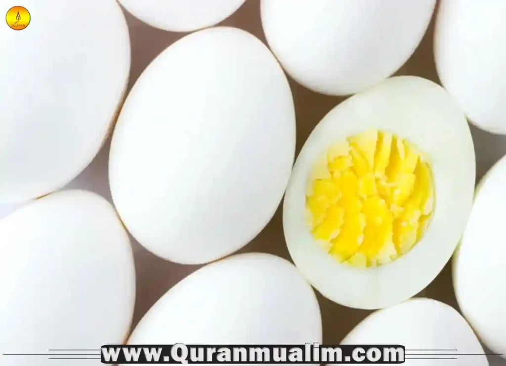 are eggs halal, are turtle eggs halal,are all eggs halal, what can muslims not eat,what are eggs classed as,are eggs halal, eggs halal,what can't muslims eat,what can muslims eat, haram chicken,halal in muslim, what does muslims eat