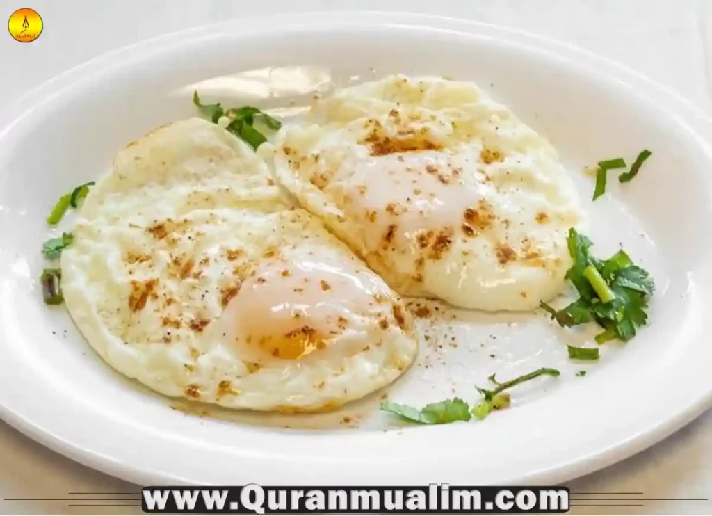 are eggs halal, are turtle eggs halal,are all eggs halal, what can muslims not eat,what are eggs classed as,are eggs halal, eggs halal,what can't muslims eat,what can muslims eat, haram chicken,halal in muslim, what does muslims eat