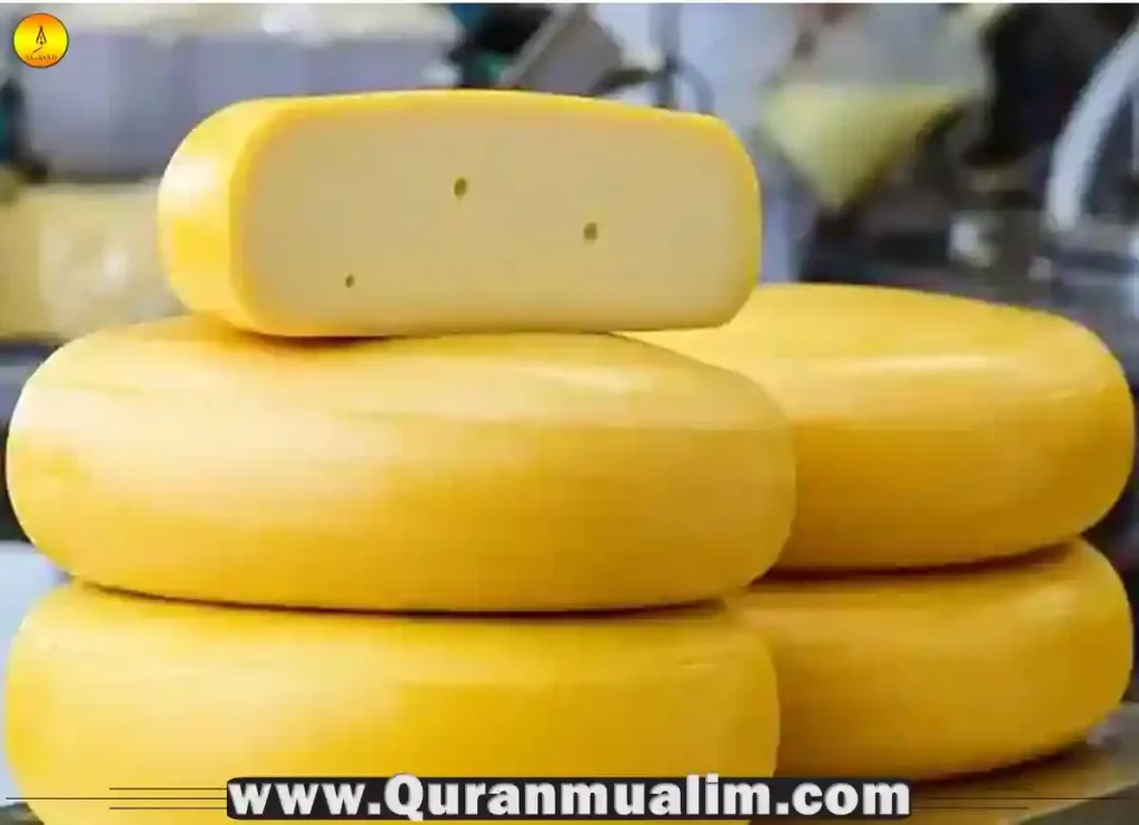 are enzymes halal, are animal enzymes halal, are beef enzymes halal, food haram,is cheese halal, halal and haram, are enzymes halal, animal enzymes, enzymes is halal, haram food list,is mono and diglycerides halal,enzymes in cheese halal