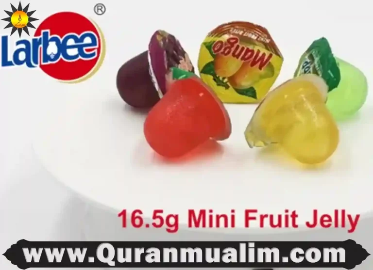 are gushers halal, are fruit gushers halal, are gushers vegan, do gushers have gelatin, fruit gushers aux fruits, are fruit gushers vegan ,do gushers have pork, aux fruits fruit gushers