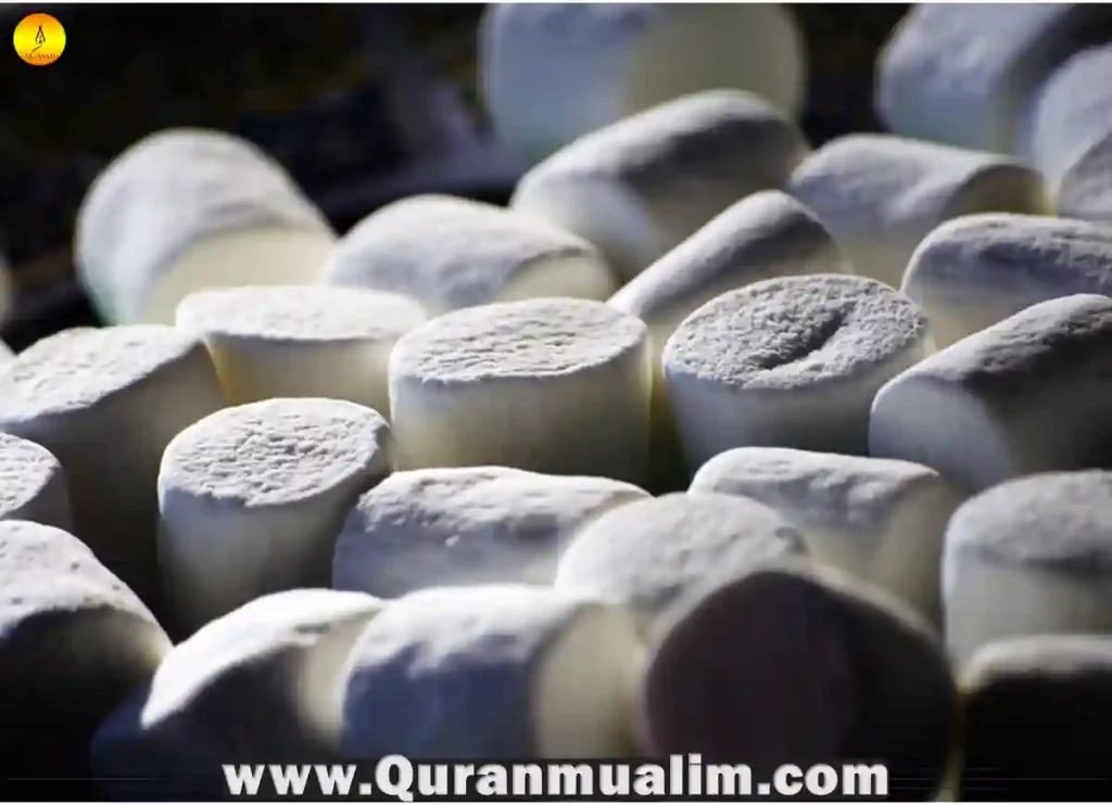 are marshmallows halal, are jet puffed marshmallows halal,are there halal marshmallows, what is marshmallow made of, halal marshmallows ,what can muslims not eat, what can muslims not eat,do muslims eat beef