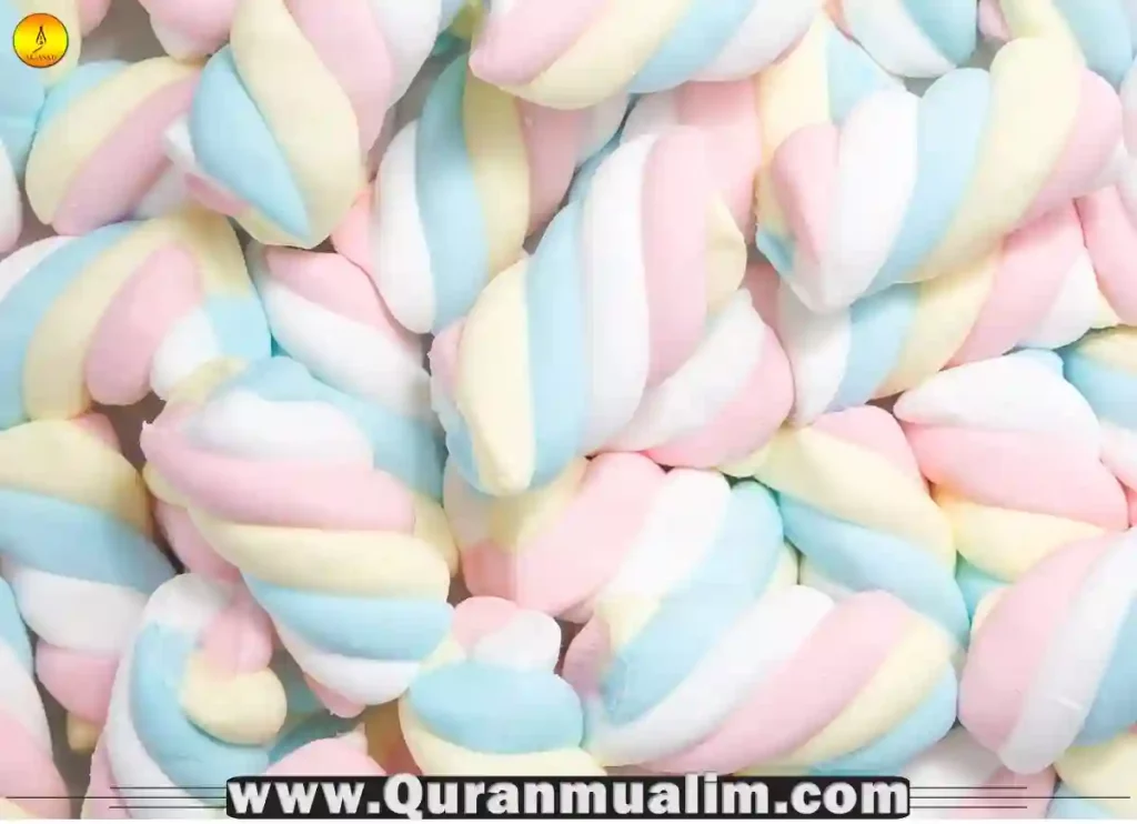 are marshmallows halal, are jet puffed marshmallows halal,are there halal marshmallows, what is marshmallow made of, halal marshmallows ,what can muslims not eat, what can muslims not eat,do muslims eat beef