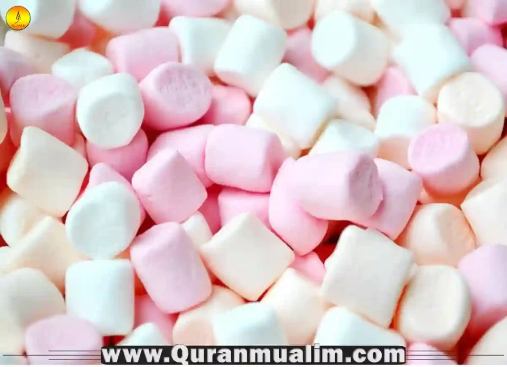 are marshmallows halal, are jet puffed marshmallows halal,are there halal marshmallows, what is marshmallow made of, halal marshmallows ,what can muslims not eat, what can muslims not eat,do muslims eat beef