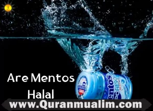 are mentos halal, are fruit mentos halal, mentos ingredients, are mentos vegan, are hi chews halal, does mentos gum work with coke ,does mentos have gelatin, can you eat mentos, what are mentos made of