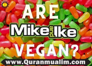 are mike and ikes vegan, are mike and ike vegan, are mike and ike candies vegan,are mike and ikes gluten free, mike and ike's, do mike and ikes have gelatin, mike and ike vegan, are mike and ike vegan, green mike and ikes