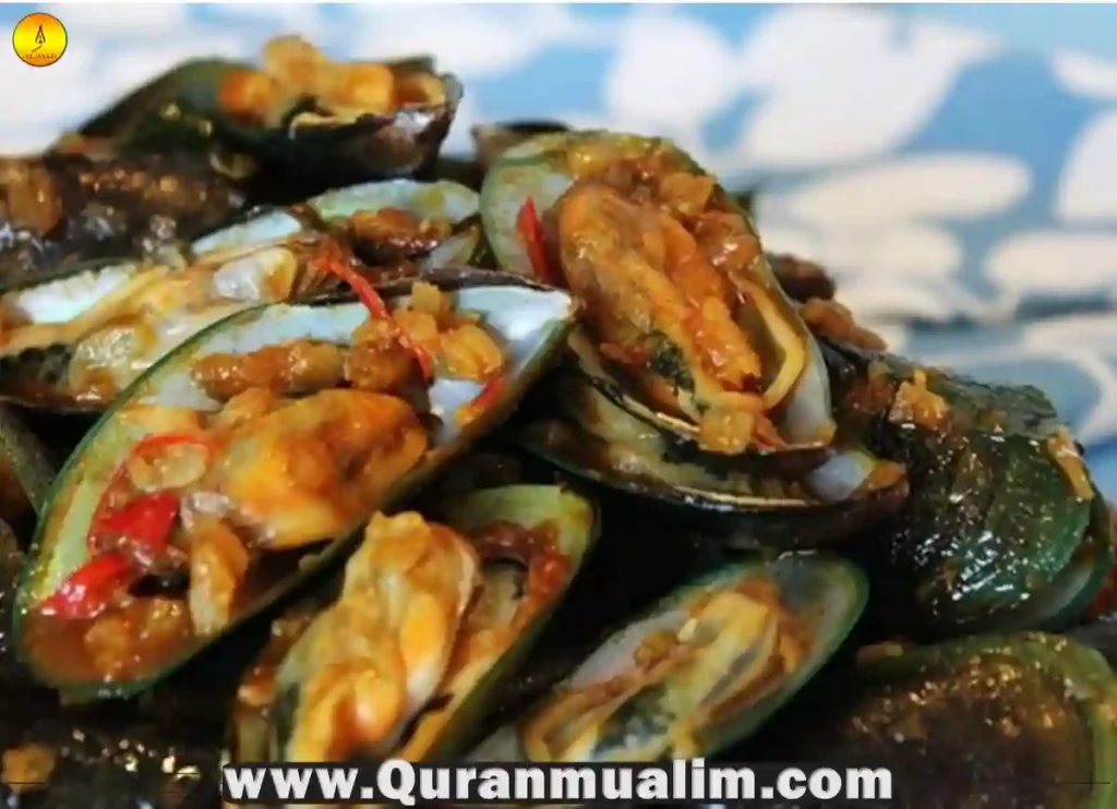 are mussels halal, are mussels halal sunni, halal shellfish, are oysters halal,are scallops halal, can i eat mussels in white wine sauce while pregnant ,shellfish halal,are shellfish halal