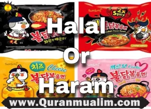 are samyang noodles halal, are all samyang noodles halal, which samyang noodles are halal, halal ramen noodles, halal ramen Chicago ,samyang instant noodles, spicy noodles amazon, amazon spicy ramen, halal spicy noodles