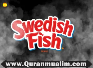 are swedish fish halal, are swedish fish gluten free, swedish fish gluten free, are swedish fish swedish, do swedish fish have gelatin, does swedish fish have gelatin, what are swedish fish, purple swedish fish, are swedish fish halal