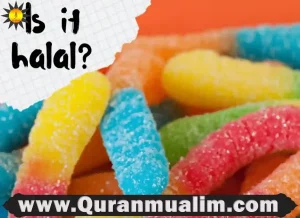 are trolli gummy worms halal, trollies gummies, trolli gummy worms ingredients, does trolli have gelatin, does gummies have pork, are trolli gummy worms vegan, what candy has pork in it, list of candy without pork gelatin