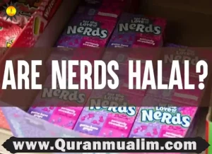 are welch's fruit snacks halal,are welch's mixed fruit snacks halal, what does fruity mean, what does fruity mean,what came first the color or the fruit ,are welch's fruit snacks healthy, welch's fruit n yogurt,welch's fruit n yogurt