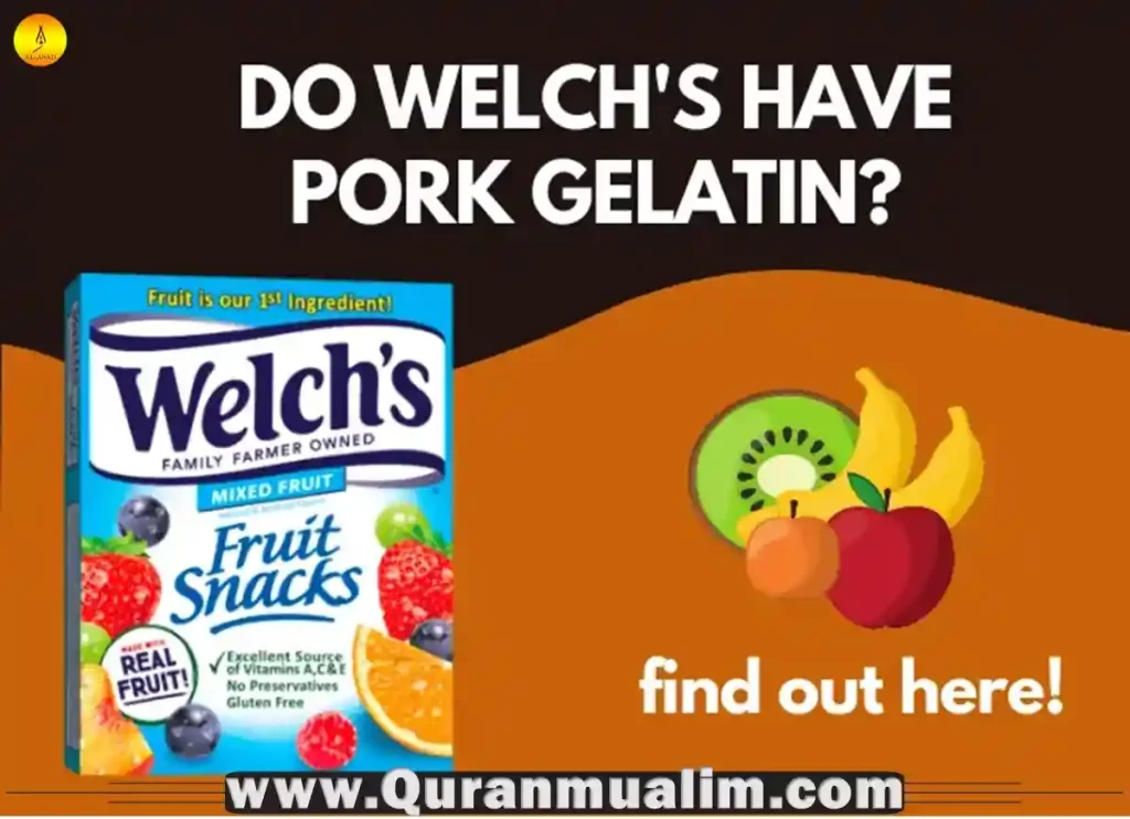 are welch's fruit snacks halal,are welch's mixed fruit snacks halal, what does fruity mean, what does fruity mean,what came first the color or the fruit ,are welch's fruit snacks healthy, welch's fruit n yogurt,welch's fruit n yogurt
