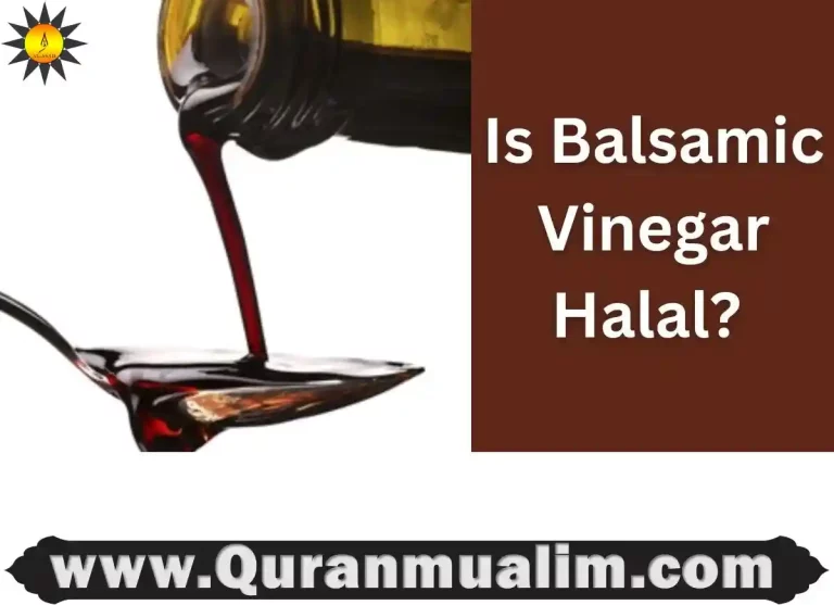 balsamic vinegar is halal, is balsamic vinegar halal, balsamic vinegar is it halal, is balsamic vinegar halal hanafi, is balsamic vinegar halal or haram, is balsamic vinegar halal or haram, is balsamic vinegar halal shia ,is balsamic vinegar of modena halal