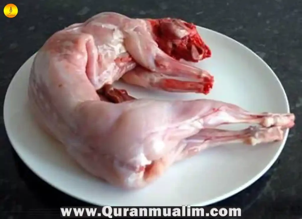 where to buy rabbit meat near me, where can i buy rabbit meat near me, buy rabbit meat near me, where to buy fresh rabbit meat near me, where can i buy fresh rabbit meat near me, where can i buy meat rabbits near me