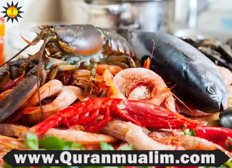 do muslims eat shellfish, is shrimp halal, do muslims eat shellfish,is crab halal,is crab halal, can muslims eat beef, halal fish, shellfish haram, do muslims eat fish, do muslims eat fish, is squid halal, is shrimp haram