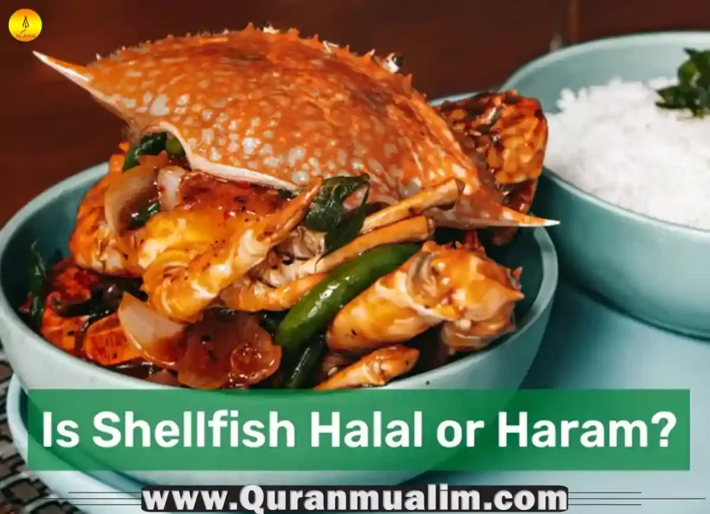 do muslims eat shellfish, is shrimp halal, do muslims eat shellfish,is crab halal,is crab halal, can muslims eat beef, halal fish, shellfish haram, do muslims eat fish, do muslims eat fish, is squid halal, is shrimp haram