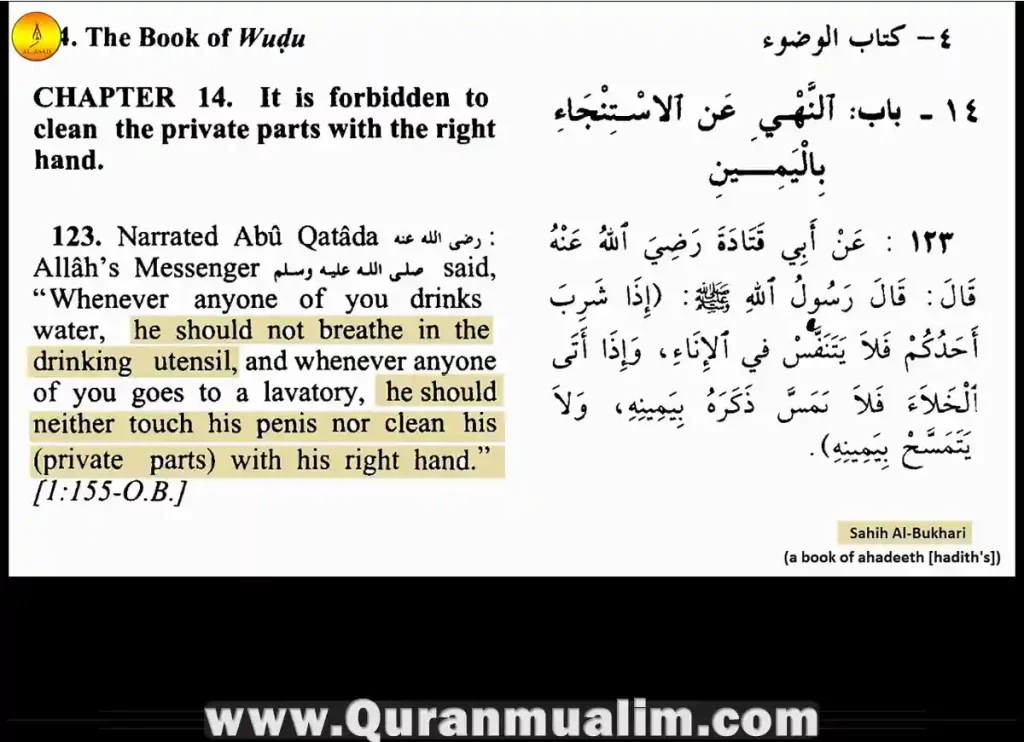 is it haram to play with your private parts, are muslims allowed to masturbate, can i play with my wife private parts in islam, can muslims masturbate, can you masturbate in islam, is it haram to masturbate