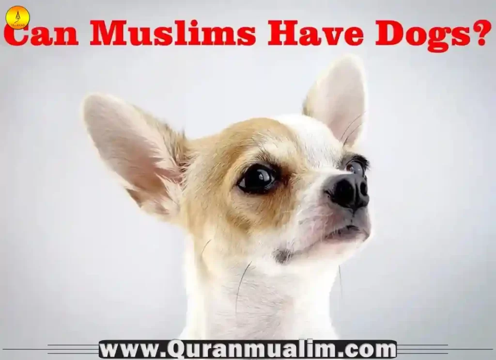 why are dogs haram but not cats, are dogs halal, why are dogs haram, are dogs allowed in islam, are dogs haram in islam, are dogs haram in the house