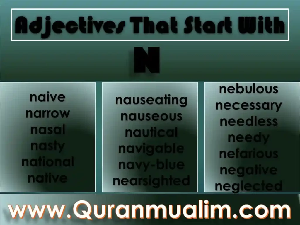 adjectives that start with n to describe a person ,nice adjectives that start with n ,adjectives in spanish that start with n, adjectives to describe a person that start with n 