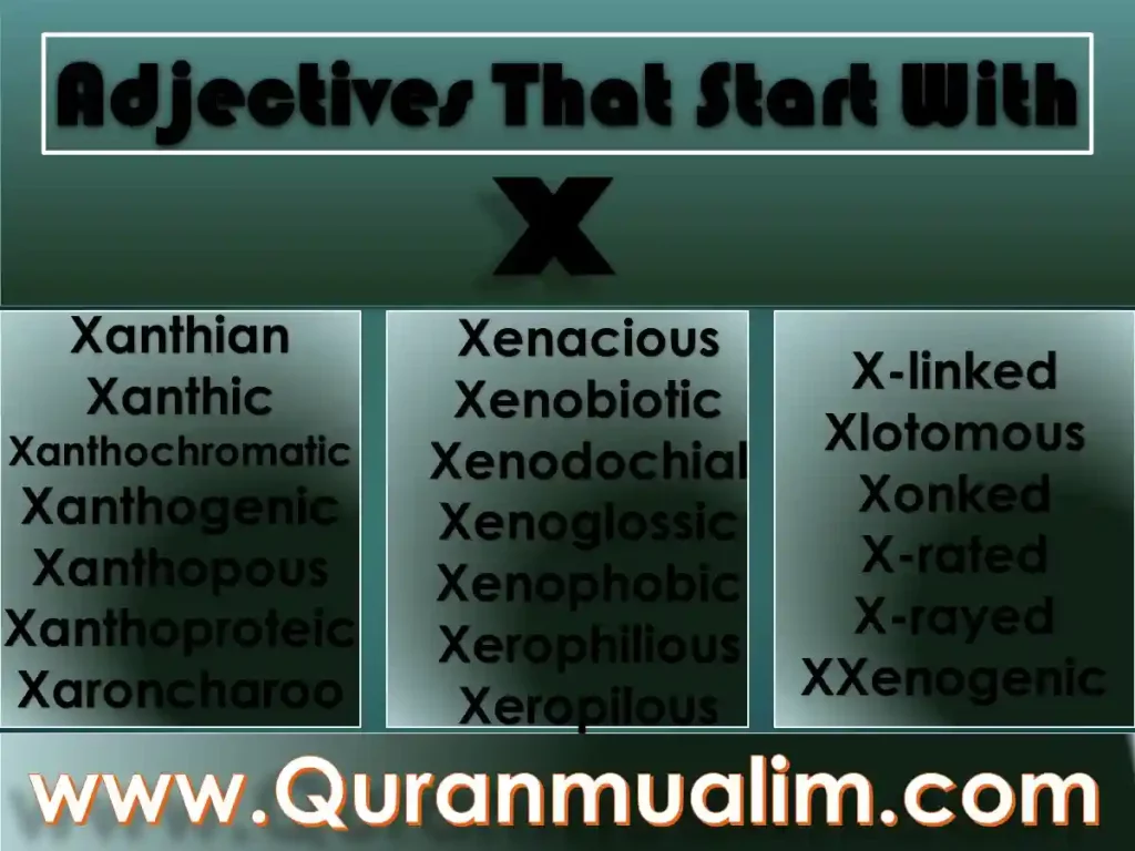 adjectives that start with a, x words, adjectives that start with m, words with x,
adjectives that start with x to describe a person, character traits that start with x, nice words that start with x to describe someone, adjectives with x in them
