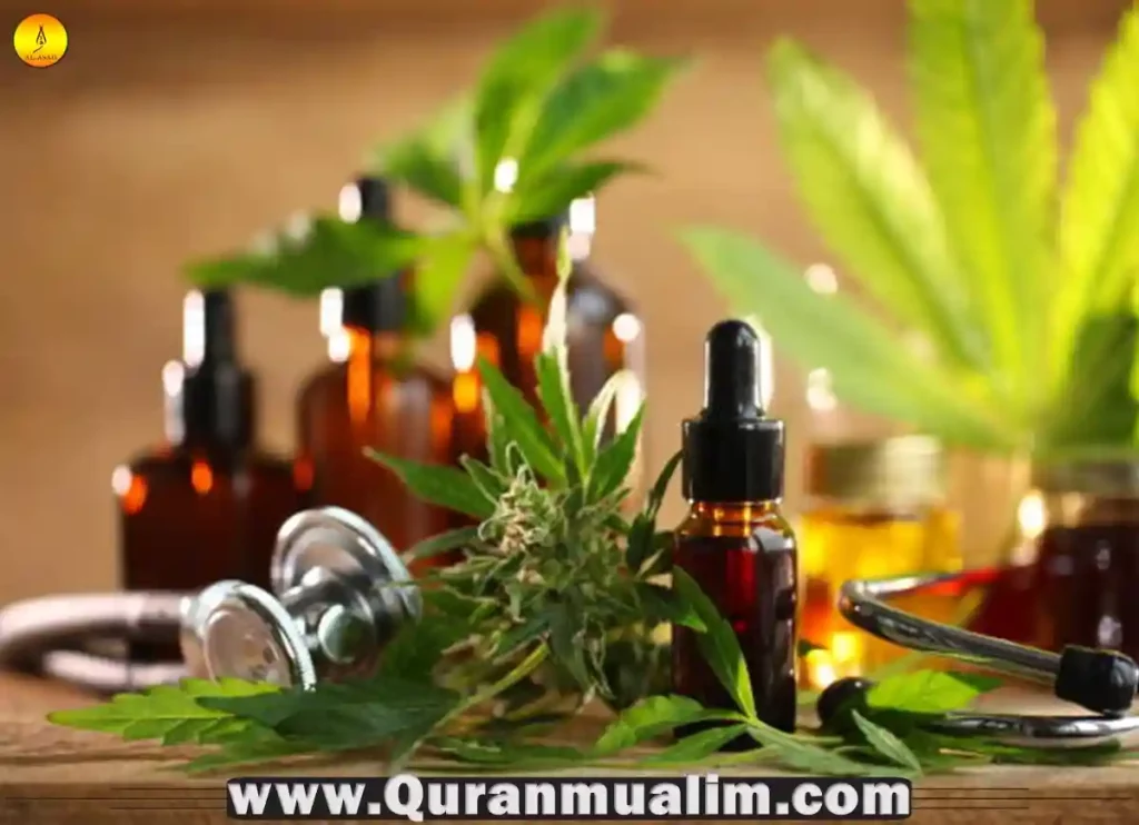 is cbd halal,is cbd oil halal,is cbd gummies halal,is cbd drink halal,is cbd halal hanafi