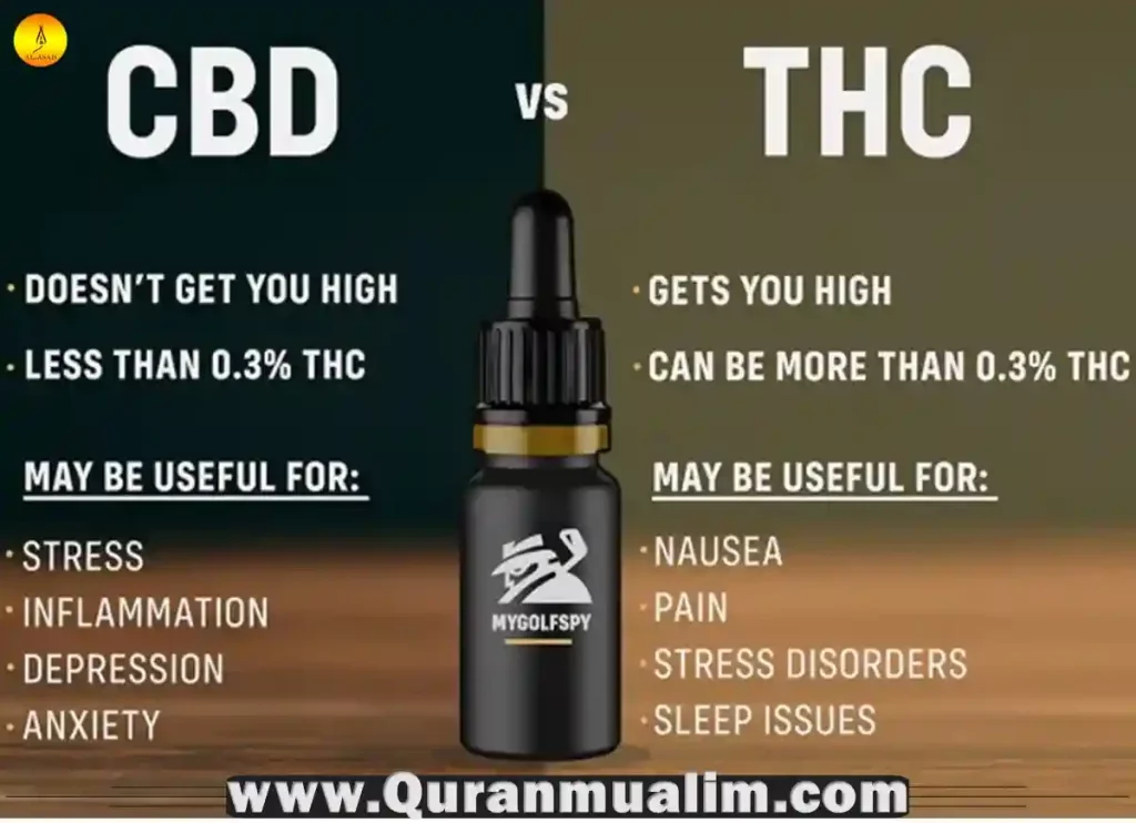 is cbd halal,is cbd oil halal,is cbd gummies halal,is cbd drink halal,is cbd halal hanafi