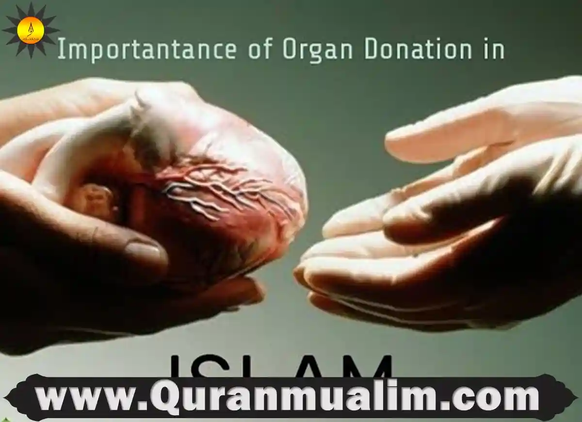 is donating organs haram, is organ donation haram, is it haram to donate organs,is donating organs after death haram, is donating organs haram in islam, is donating organs haram ,is donating organs haram