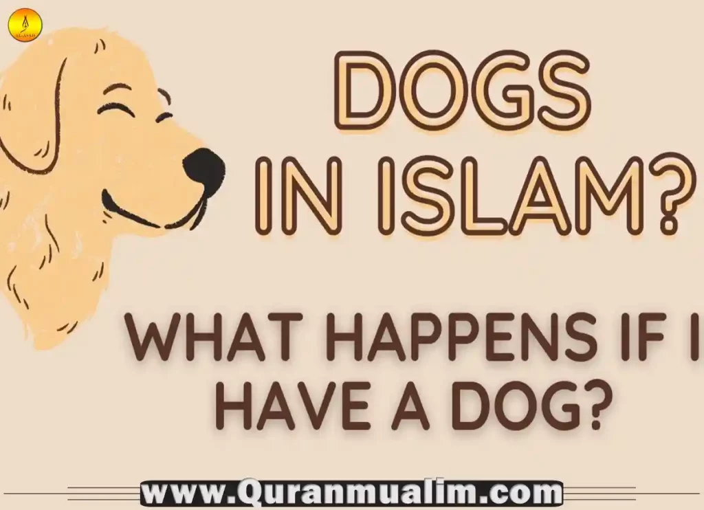 is it haram to have a dog, is it haram to have a dog for protection, islam haram,dogs in islam, islamic dog, cats islam, haram dog, are dogs haram, why are dogs haram, muslims and dogs,is it haram to have a dog, dogs and islam