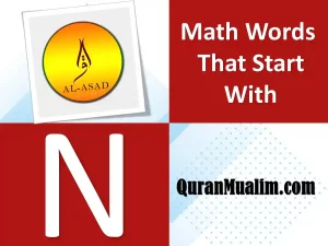 math words that start with n, math terms that start with n, math word for n, mathematical words that start with n, geometry terms that start with n ,math words for n, n math terms, geometry words that start with n ,list of words related to math