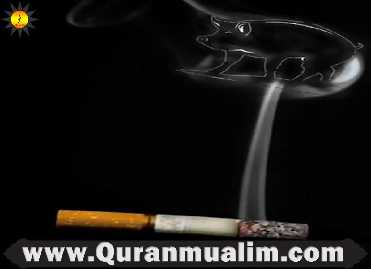 is smoking haram, smoking is haram, is smoking weed haram, is smoking haram in islam,is smoking haram.in islam, is smoking rose petals haram, can you smoke during ramadan, can muslims smoke, can you smoke while fasting