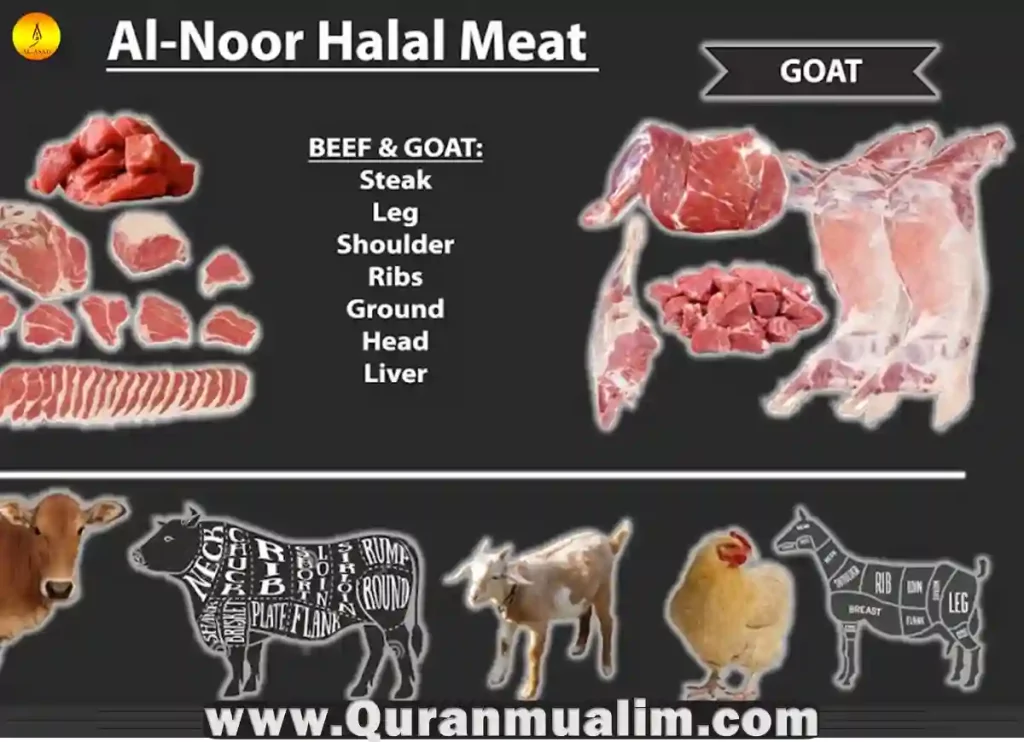 fort wayne halal meat & grocery, fort wayne halal meat & grocery, halal market fort wayne, fort wayne halal market, halal store fort wayne ,indian grocery fort wayne, wayne supermarket, where can i buy halal meat near me