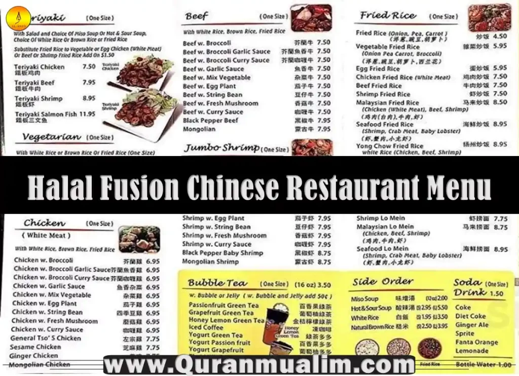 halal fusion chinese restaurant, halal fusion chinese restaurant menu,halal fusion chinese restaurant photos,halal fusion chinese restaurant reviews, halal fusion chinese restaurant philadelphia
