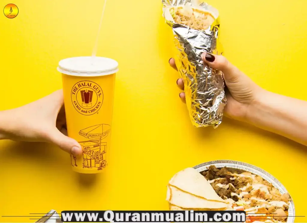 halal guys calories, halal guys chicken platter calories, halal guys white sauce calories, halal guys platter calories, calories in halal guys, calories halal guys, calories halal guys platter ,calories in halal guys chicken and rice