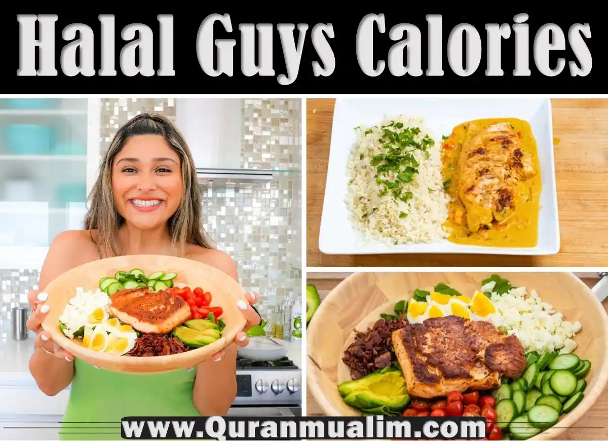 halal guys calories, halal guys chicken platter calories, halal guys white sauce calories, halal guys platter calories, calories in halal guys, calories halal guys, calories halal guys platter ,calories in halal guys chicken and rice