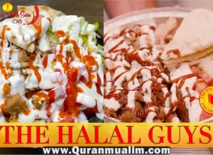 halal guys red sauce recipe, red sauce halal guys recipe, the halal guys, halal near me, halal near me, chicken over rice, chicken and rice guys ,halal street food, halal guys white sauce, big guys chicken and rice