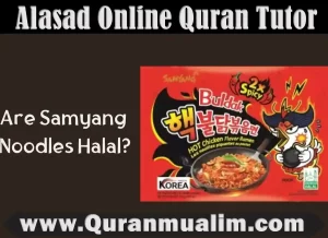 halal noodles, modoo chicken and noodle bar halal,halal noodles near me, halal ramen noodles, noodles halal,is chicken cup noodles halal, are buldak noodles halal,are cup noodles halal,are indomie noodles halal,are ramen noodles halal