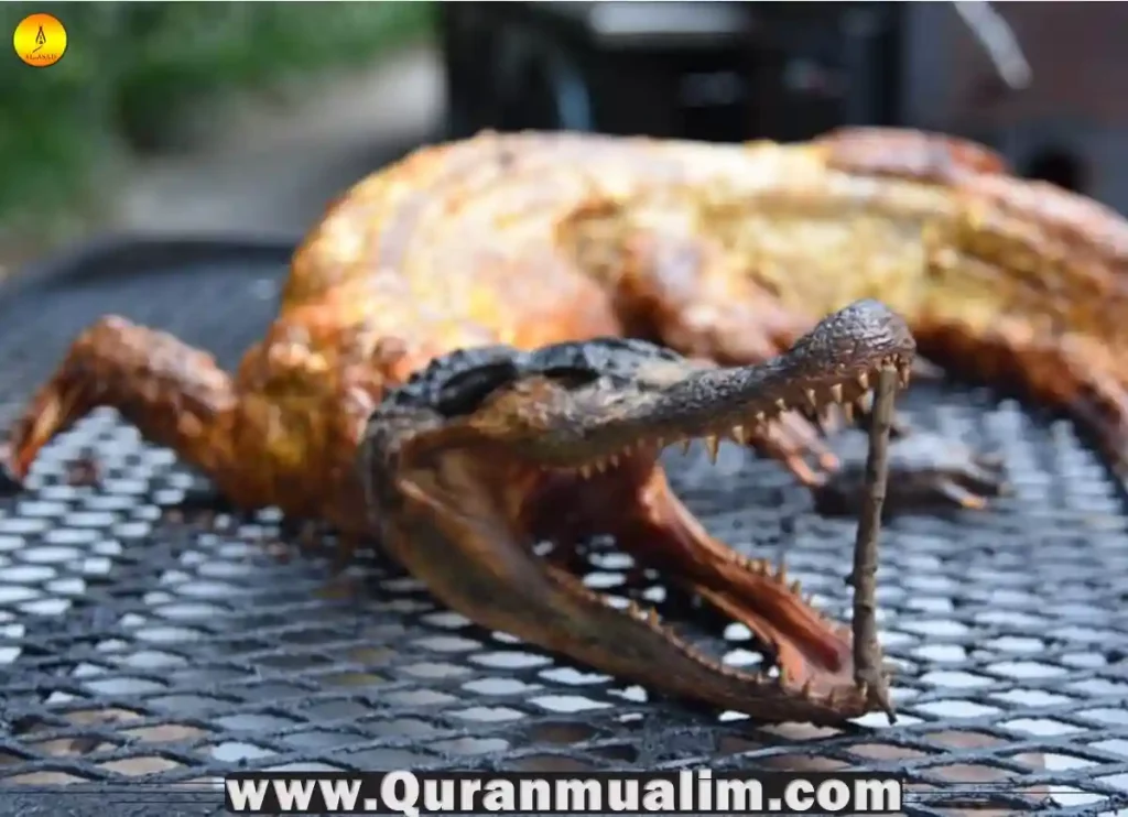 is alligator meat halal, is alligator meat halal, is eating alligator haram,is alligator haram,is alligator kosher, can you eat a alligator gar, best part of alligator to eat,is crocodile haram,is alligator meat or fish, alligator in arabic