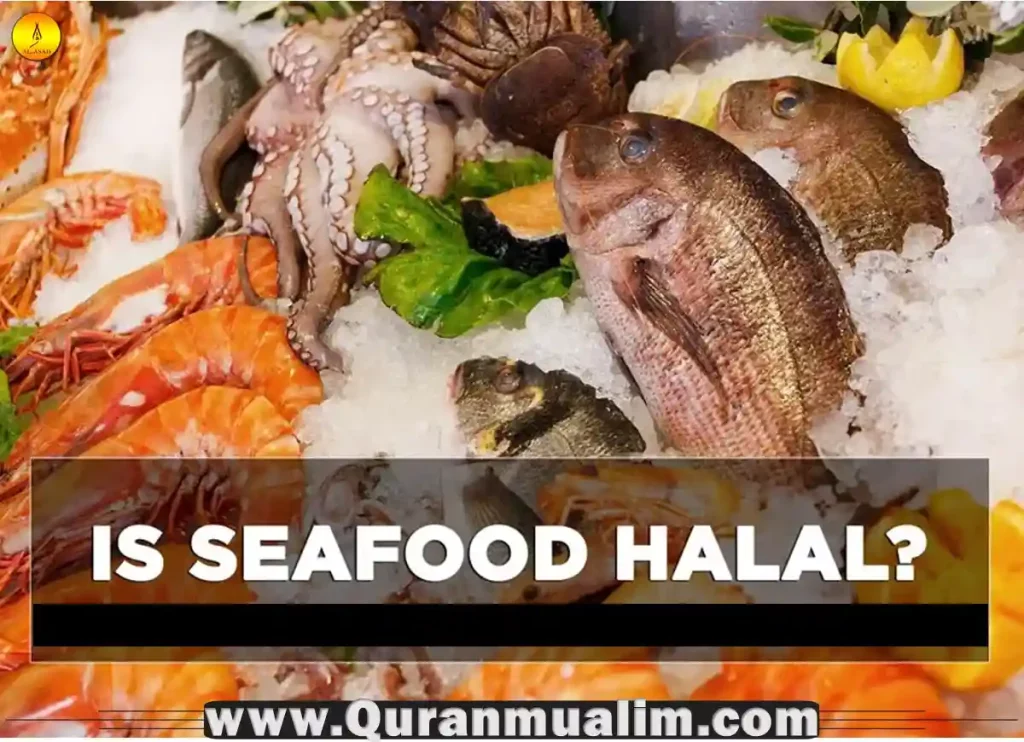 is catfish halal,is catfish halal shia,is catfish halal or haram,catfish is halal or haram in islam