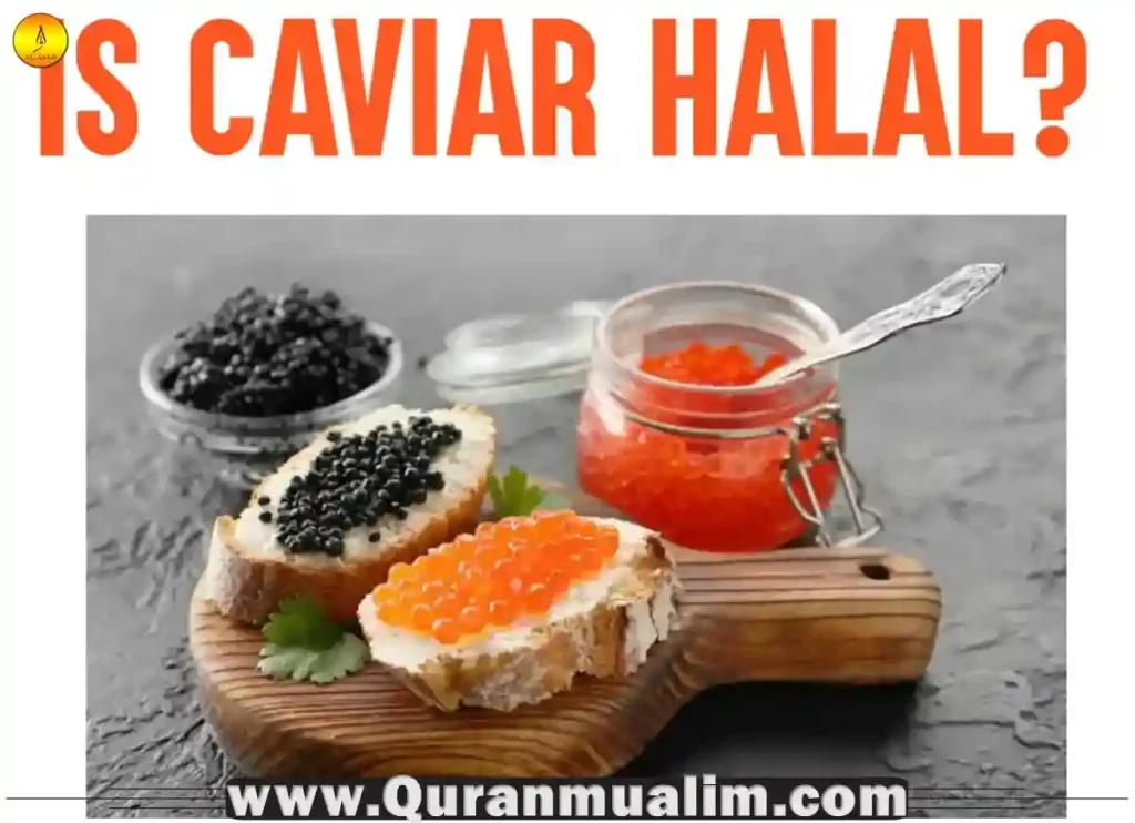is caviar halal, caviar is halal, is caviar halal sistani, is fish haram, shrimp is halal or haram, is octopus haram, counterpart to halal ,is shark halal, is seafood haram, is monopoly haram, is fishing haram
