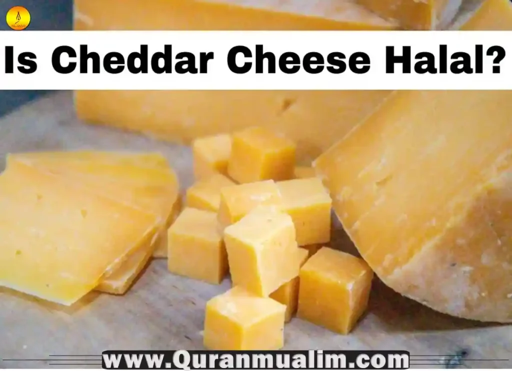 is cheddar cheese halal, which cheddar cheese is halal, cheddar cheese is halal or haram, is great value cheddar cheese halal, is pringles cheddar cheese halal