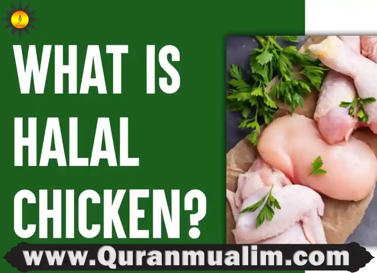 is dave's hot chicken halal, what is halal chicken,is chick fil a halal,is chicken halal, is krispy krunchy chicken halal, is tyson chicken halal, is perdue chicken halal ,is dominos chicken halal,is texas chicken halal