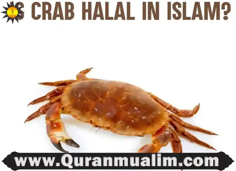 is crab halal, is imitation crab halal,is crab halal in islam, crab is it halal,is crab meat halal,crab is halal,crab is halal or haram in islam ,is crab and lobster halal ,is crab halal hanafi