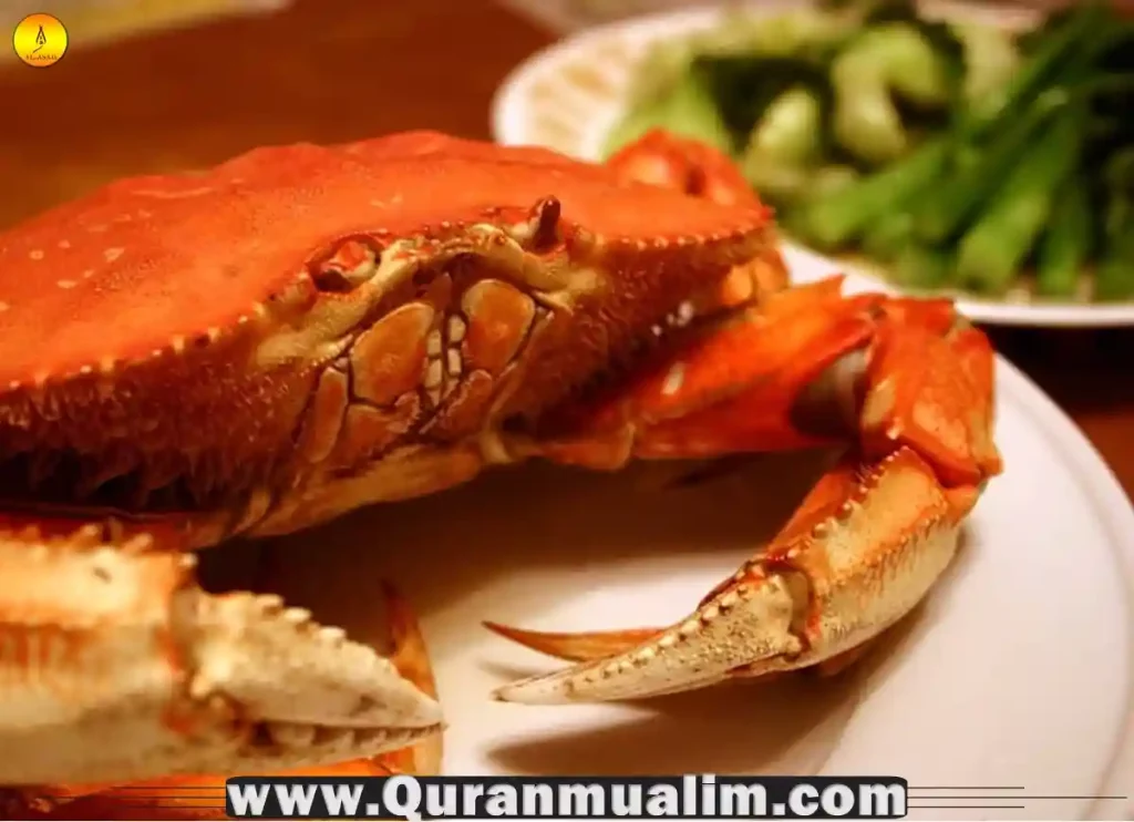 is crab halal, is imitation crab halal,is crab halal in islam, crab is it halal,is crab meat halal,crab is halal,crab is halal or haram in islam  ,is crab and lobster halal ,is crab halal hanafi