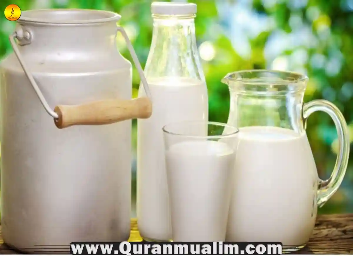 Is Dairy Halal? Facts 2023 Quran Mualim