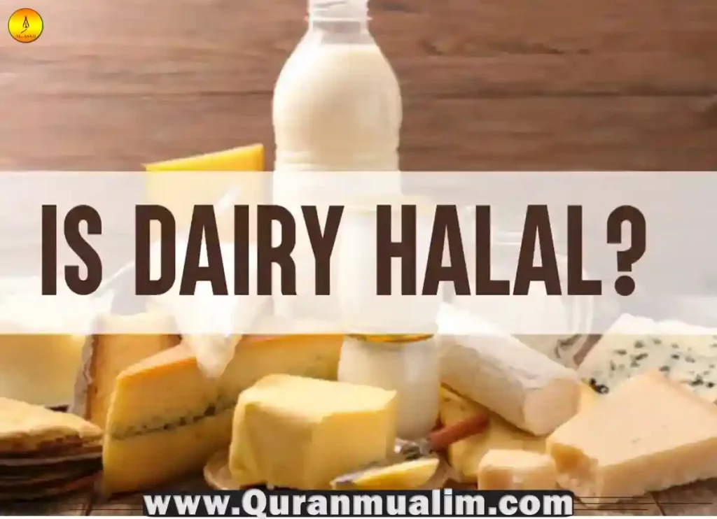 is dairy halal, is cadbury dairy milk chocolate halal, is cadbury dairy milk halal, is dairy milk chocolate halal, is dairy milk halal