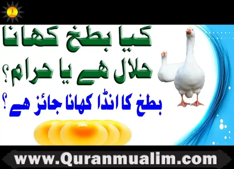 is duck halal, halal duck, duck donuts halal, halal duck near me, halal duck costco, is duck egg halal, is duck fat halal, are duck eggs halal, halal peking duck, duck fat halal ,duck is halal ,duck is halal or haram in islam